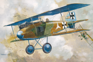Roden 1/32 Albatros D.I | 614