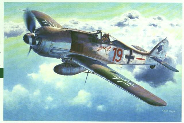 Hasegawa 1/48 Focke Wulf Fw190A-8 9094