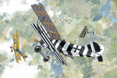 Roden 1/48 Fokker D.VII | 415