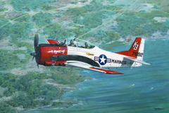 Roden 1/48 North American T-28B Trojan | 441