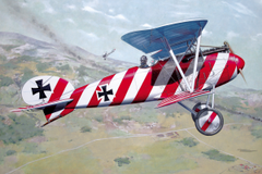 Roden 1/32 Albatros D.III (OAW) | 608
