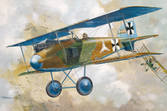 Roden 1/32 Albatros D.I | 614